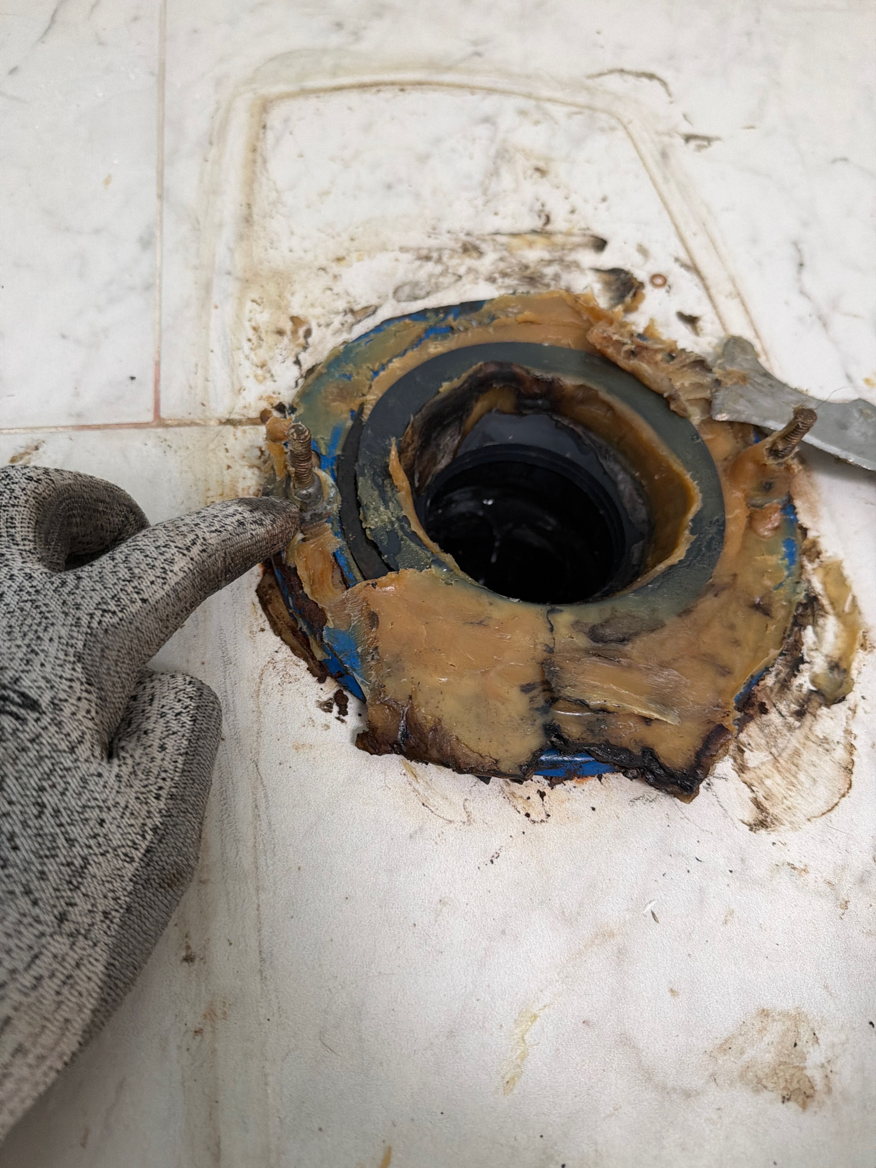 Old wax ring removed from flange